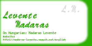 levente madaras business card